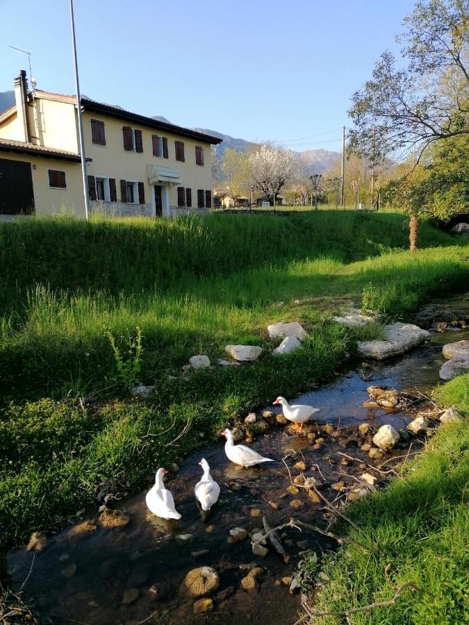 Bed and Breakfast Agriturismo Da Andreina Borso del Grappa Exteriér fotografie